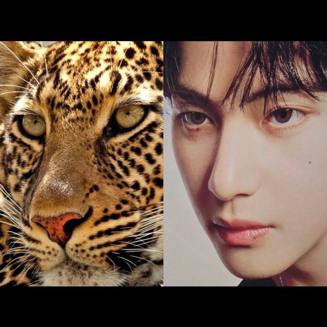 뷔 (방탄소년단) 최근 활동샷