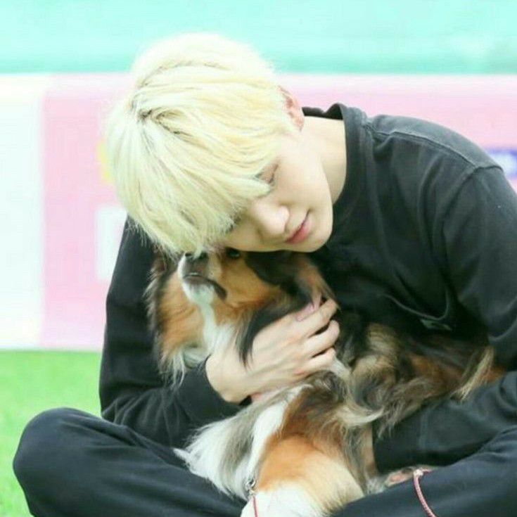 Behind-the-scenes cut of SUGA (BTS)