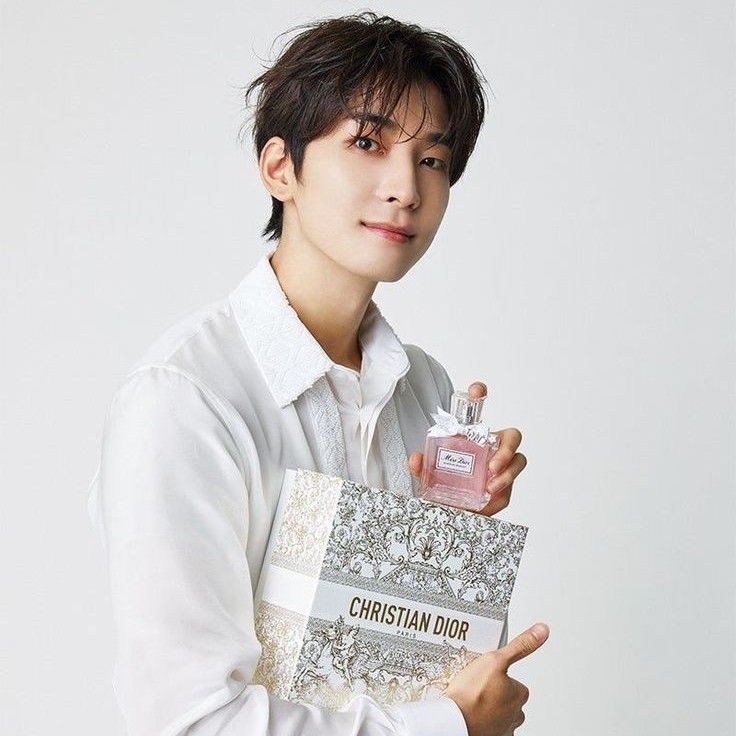 A moment captured by Wonwoo (SEVENTEEN)'s fan