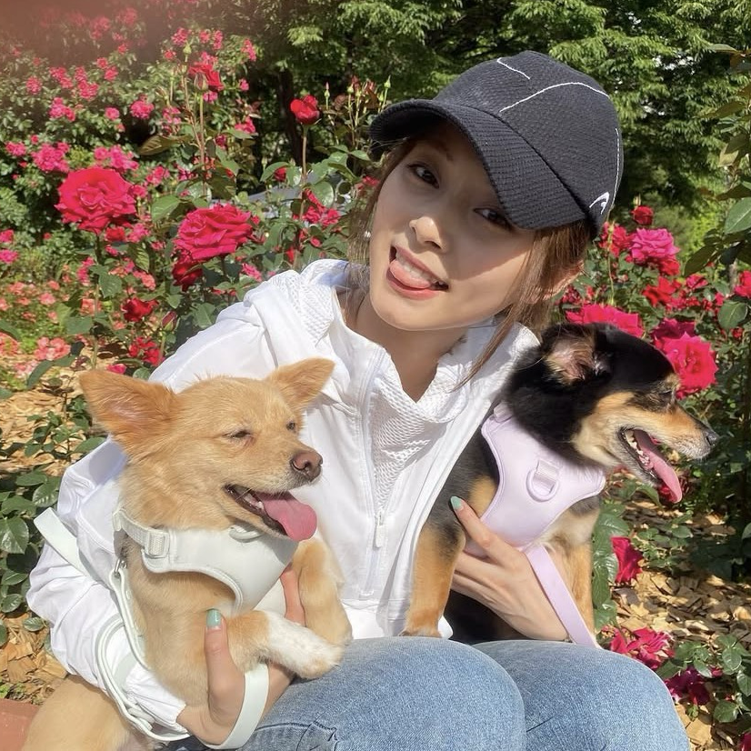 쯔위 (TWICE) 최근 활동샷