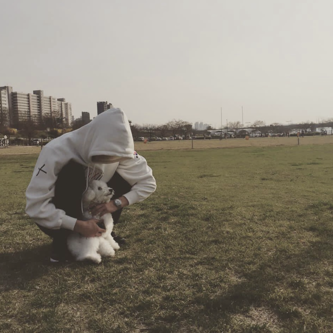 Recent activity shot of Sehun (EXO)