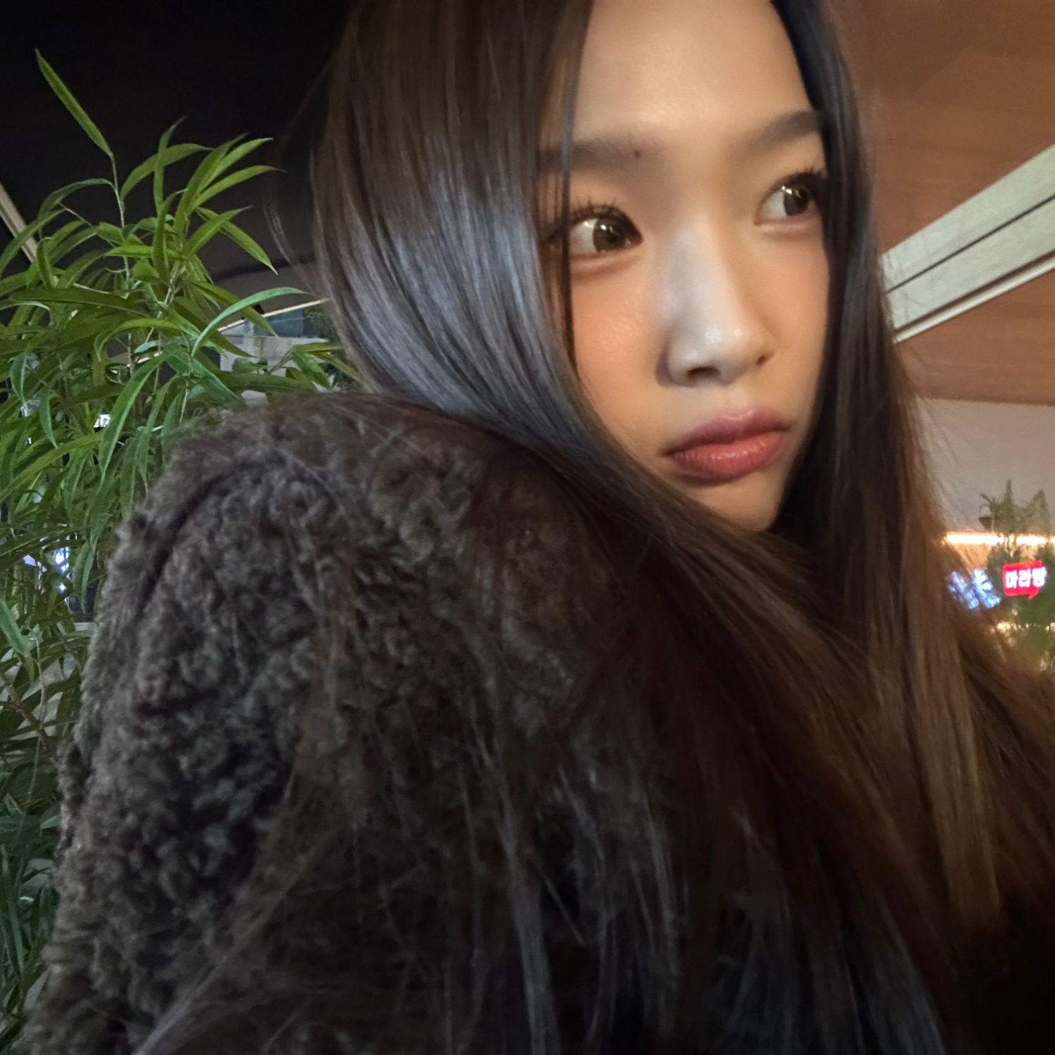 SECRET NUMBER의 최신 사진