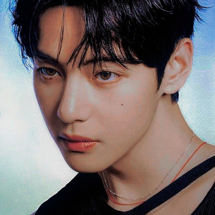 뷔 (방탄소년단) 팬이 찍은 순간