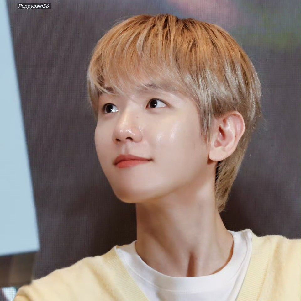 백현 (EXO)의 최신 사진