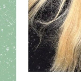 Recent activity shot of SU A (DREAMCATCHER)