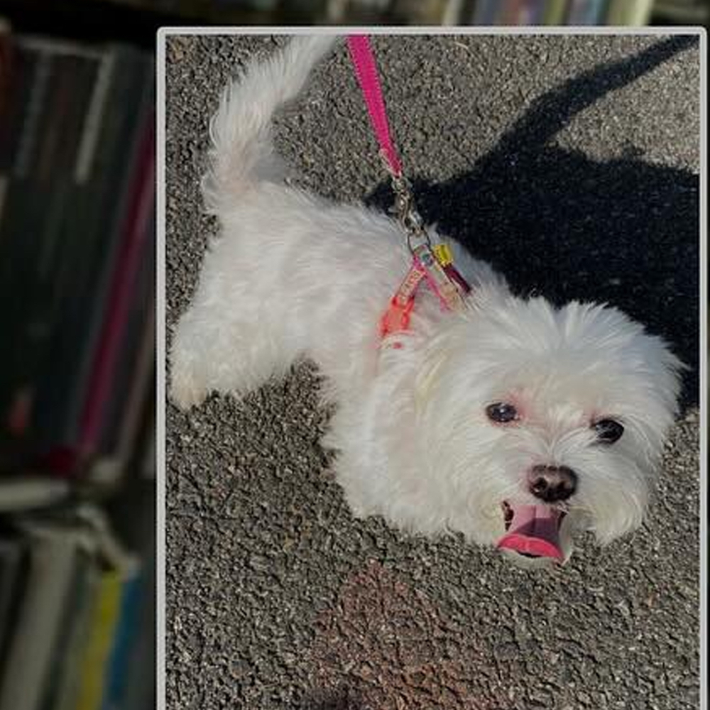 Behind-the-scenes cut of Go Won (Loossemble)