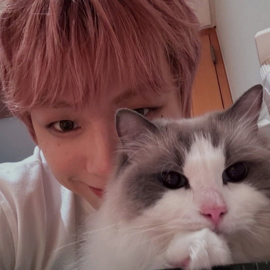 Recent activity shot of Kang Daniel