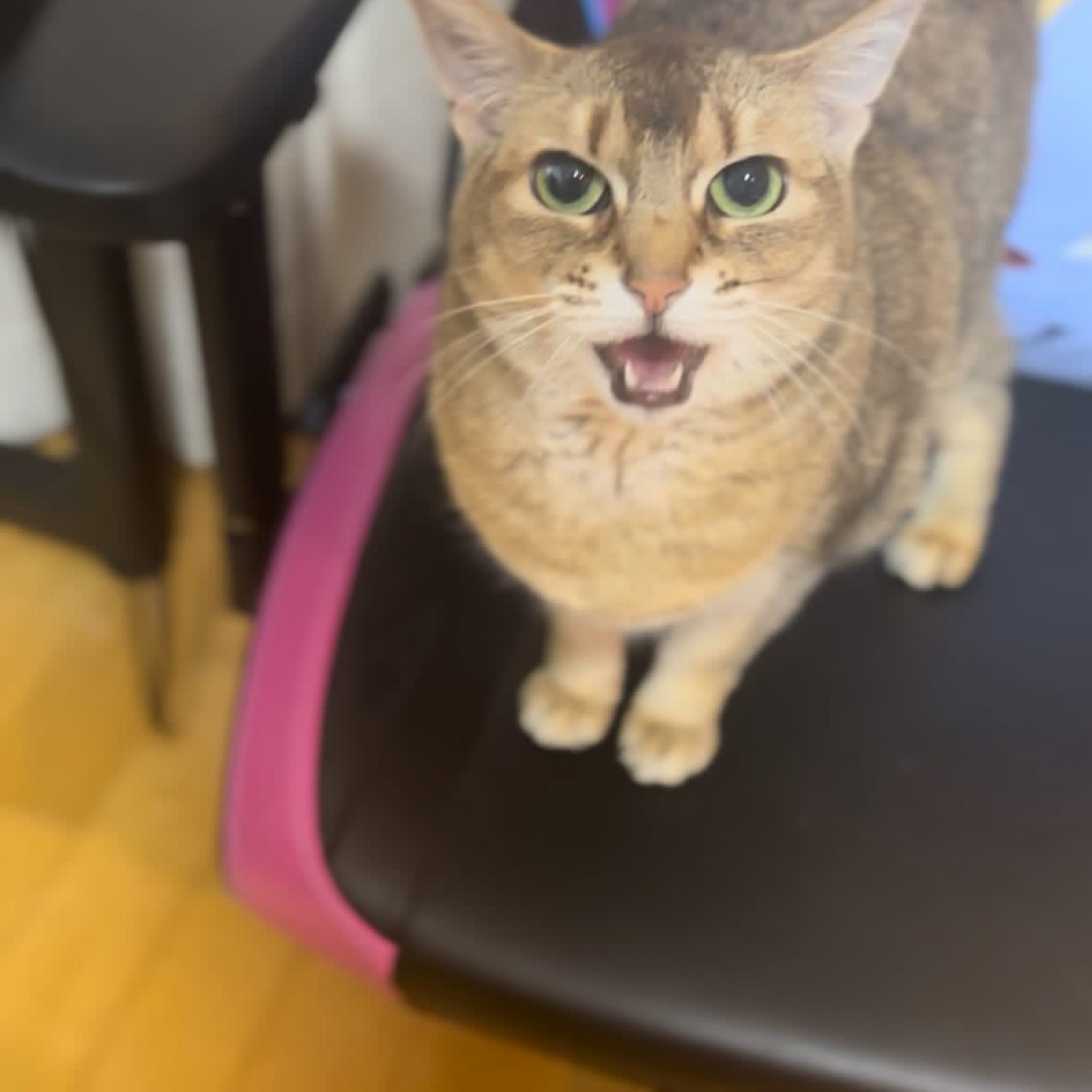 강다니엘의 비하인드 컷