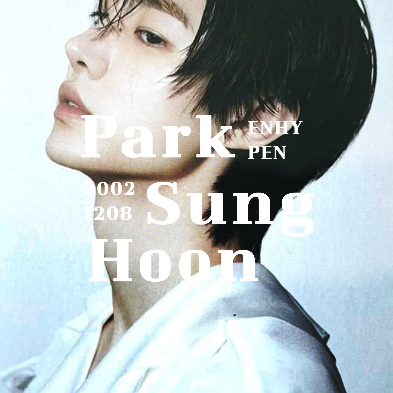 A moment captured by Sunghoon (ENHYPEN)'s fan