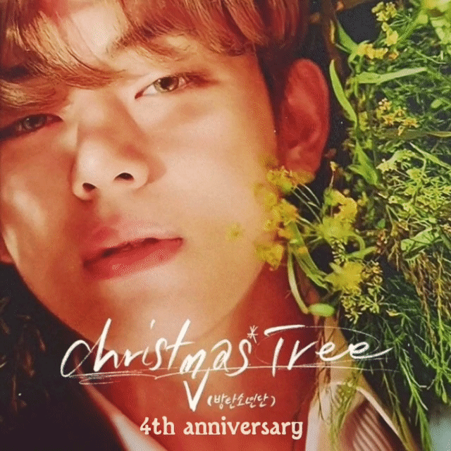 뷔 (방탄소년단) 팬이 찍은 순간