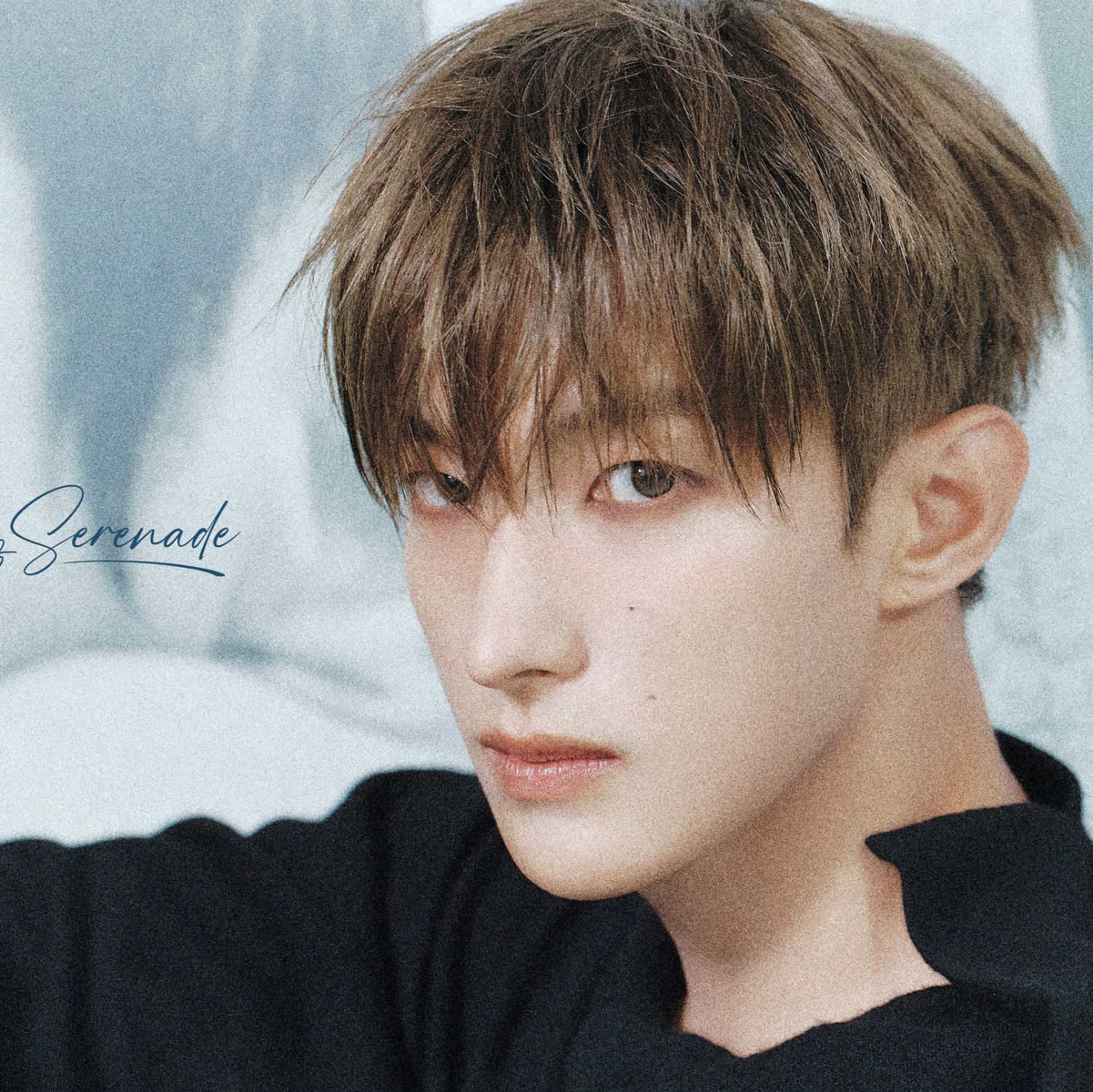 Momen yang diabadikan oleh penggemar SEVENTEEN