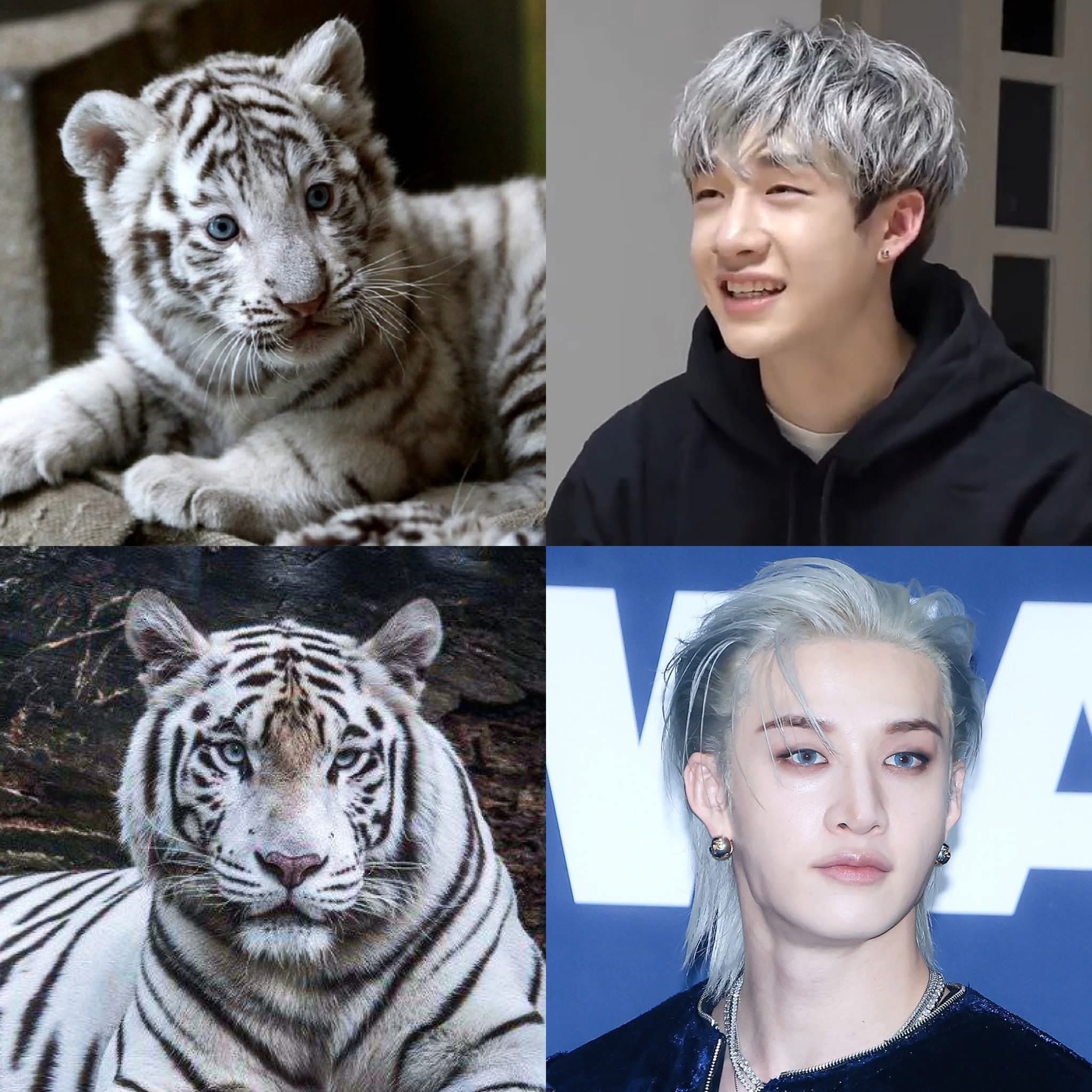 방찬 (Stray Kids)의 최신 사진