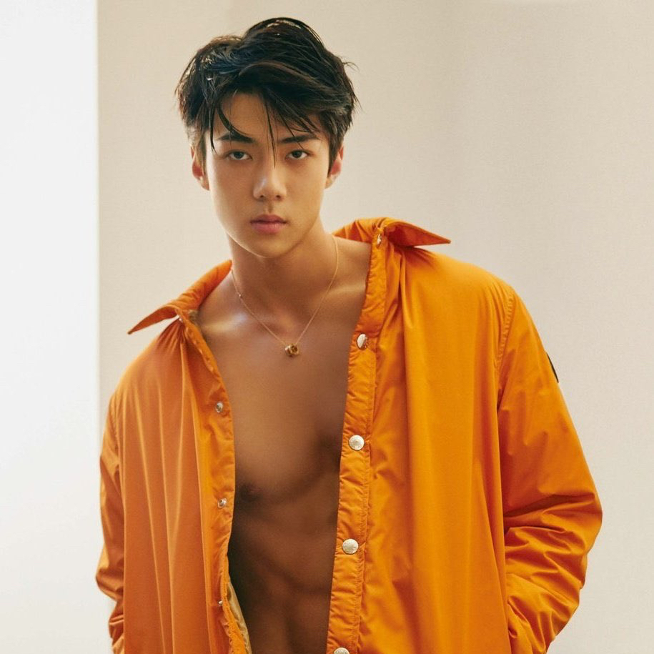 Recent activity shot of Sehun (EXO)
