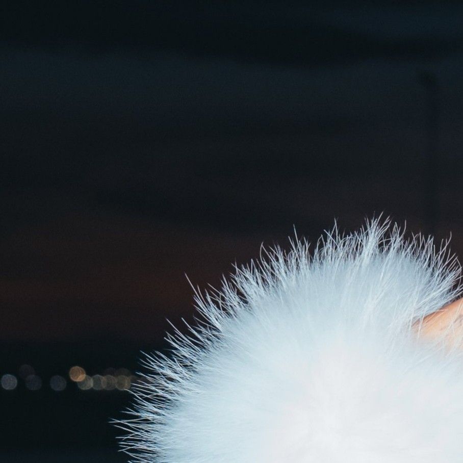 A moment captured by Hwasa (MAMAMOO)'s fan