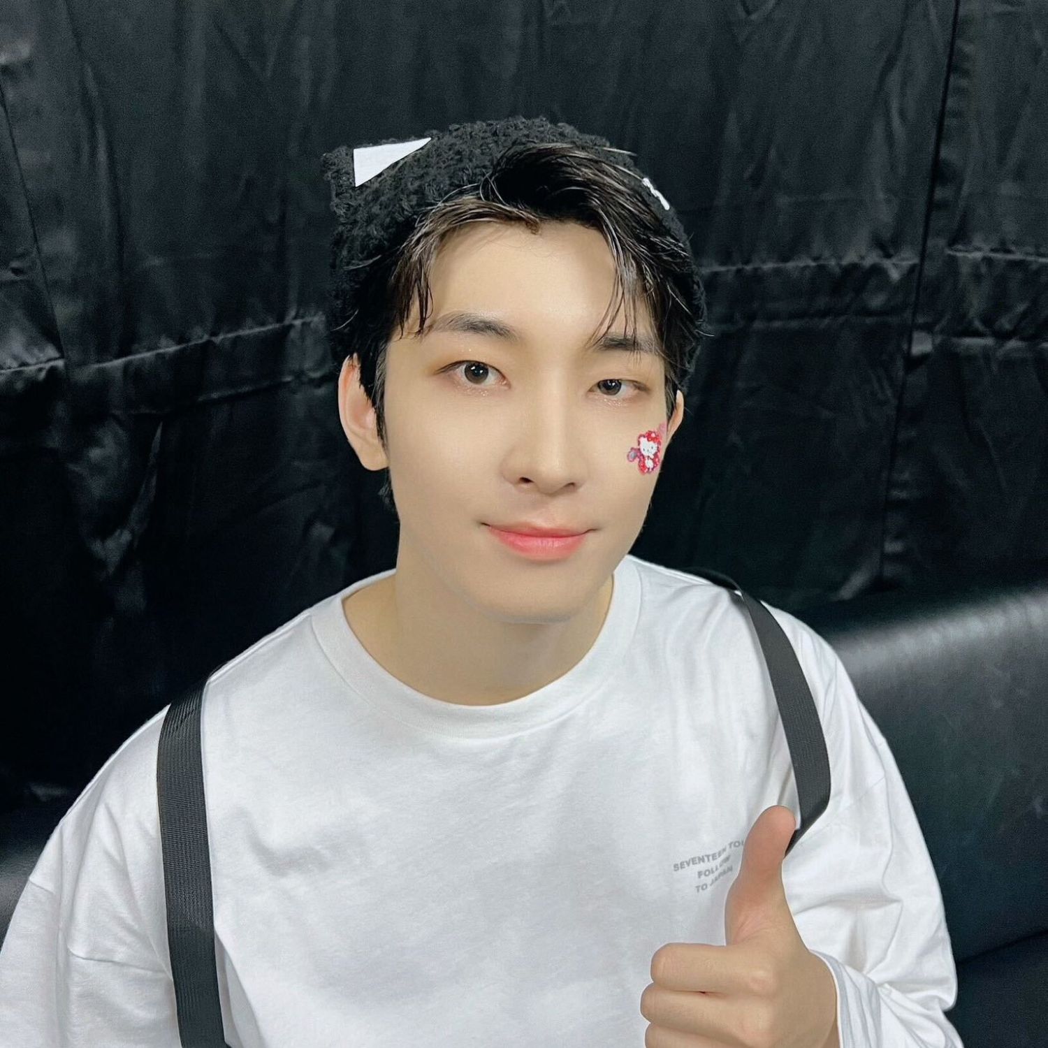 Latest photo of Wonwoo (SEVENTEEN)