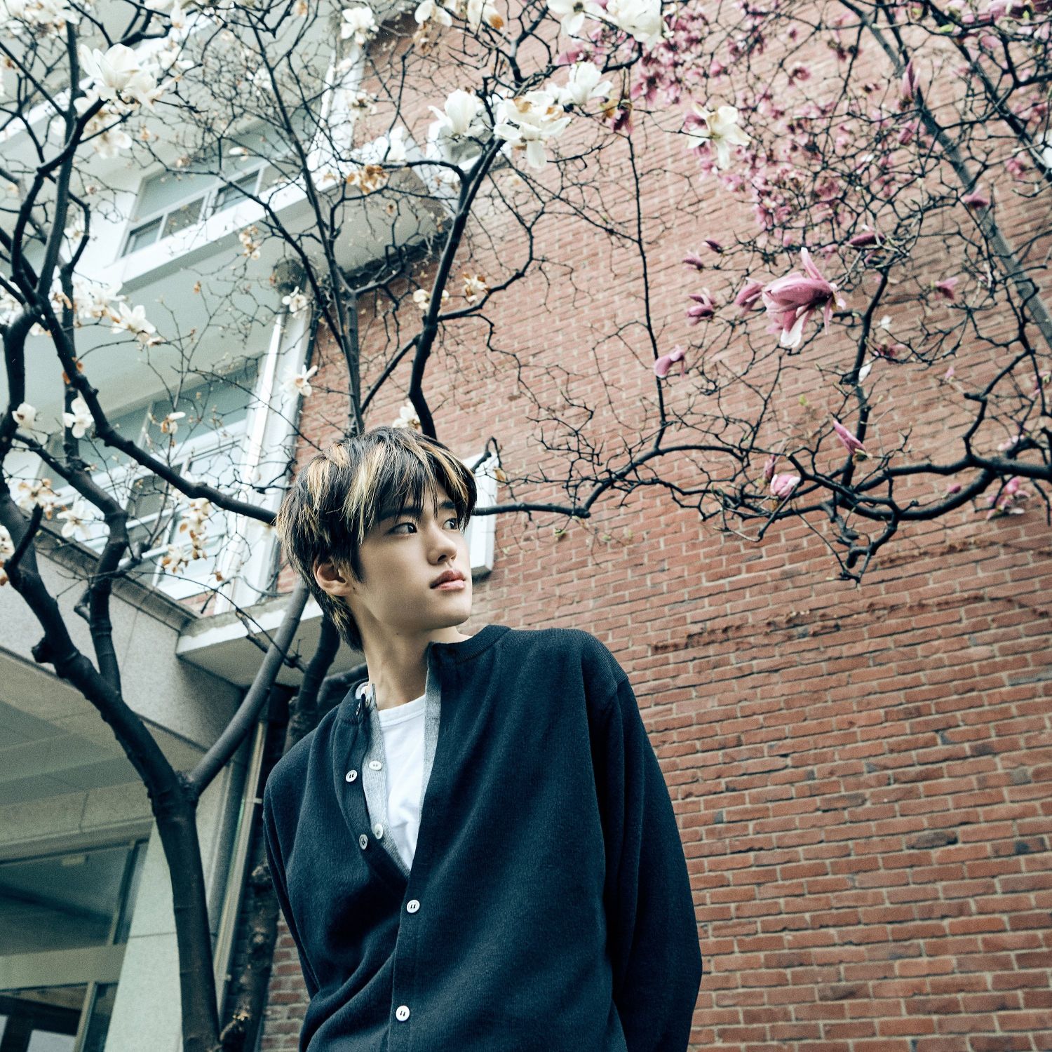 A moment captured by Sohee (RIIZE)'s fan