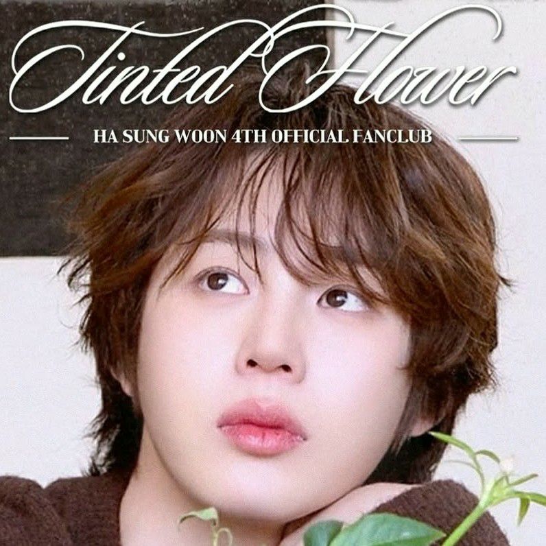 A moment captured by Ha Sungwoon's fan