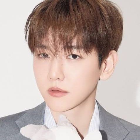伯賢 (EXO)粉絲拍下的瞬間