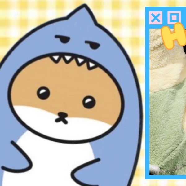 コミュニティで話題の人気アイドルコンテンツ