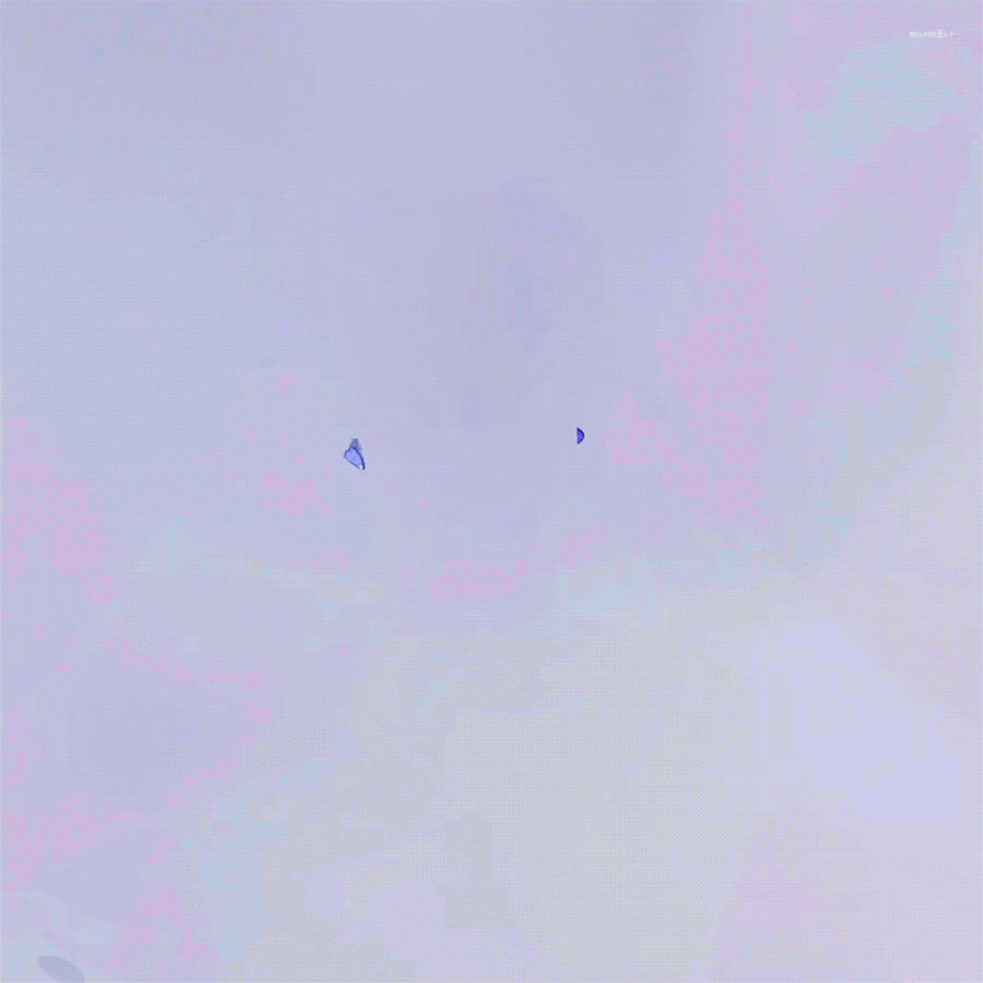 A moment captured by Hamin (PLAVE)'s fan