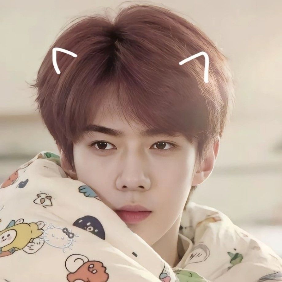 A moment captured by Sehun (EXO)'s fan