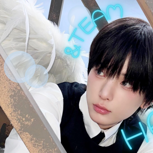 最愛ドルコミュニティの爆発的人気投稿