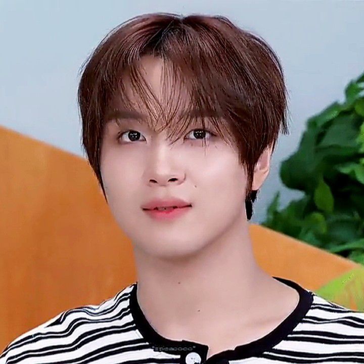 楷灿 (NCT 127, NCT DREAM)粉丝拍下的瞬间