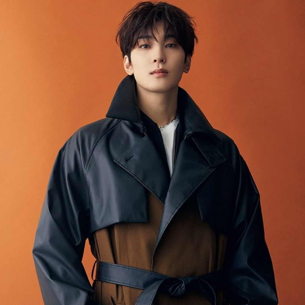 A moment captured by Wonwoo (SEVENTEEN)'s fan
