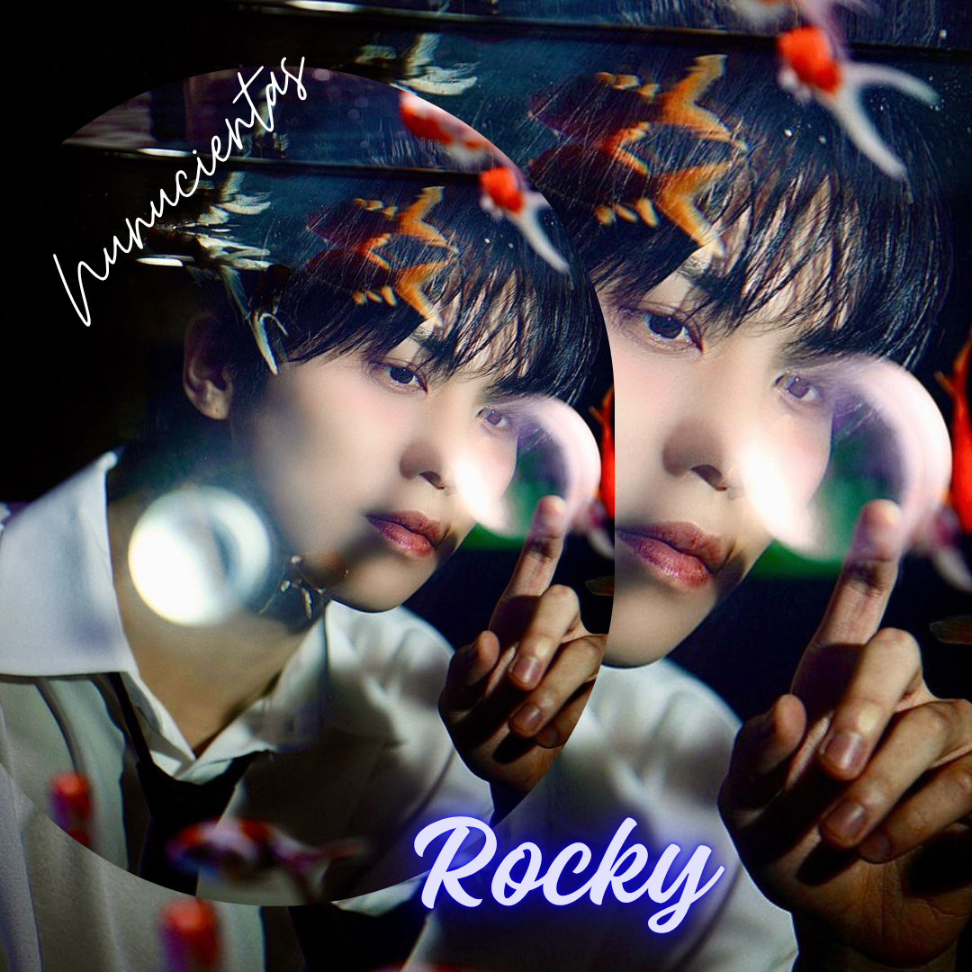 Latest photo of Rocky