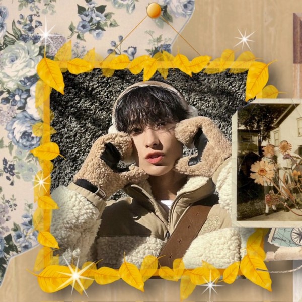 Best moment chosen by DK (SEVENTEEN) fandom