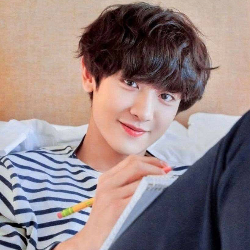 燦烈 (EXO)粉絲拍下的瞬間