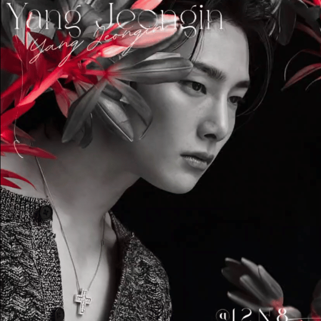 A moment captured by I.N (Stray Kids)'s fan