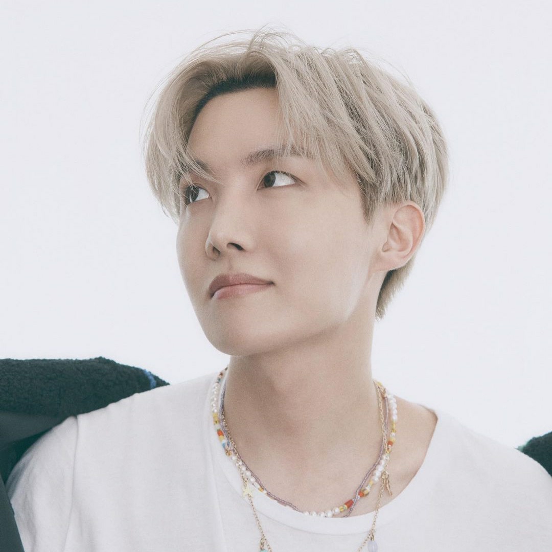 제이홉 (방탄소년단) 팬이 찍은 순간