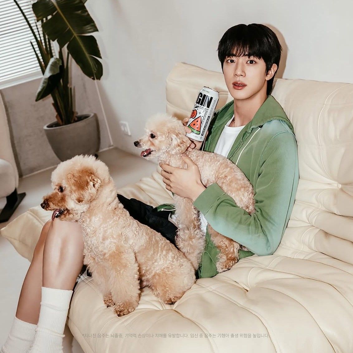 A moment captured by Jin (BTS)'s fan