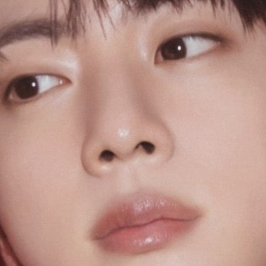 진 (방탄소년단) 팬이 찍은 순간