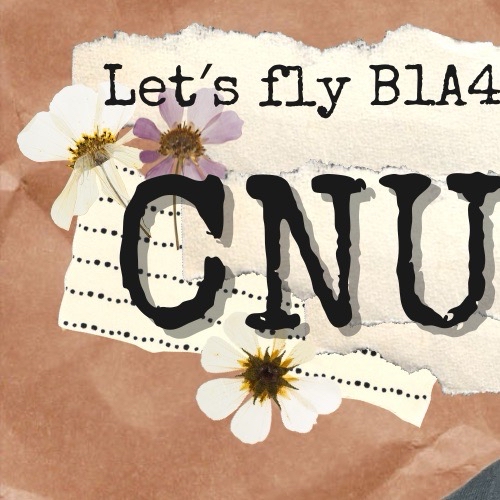 A moment captured by CNU (B1A4)'s fan