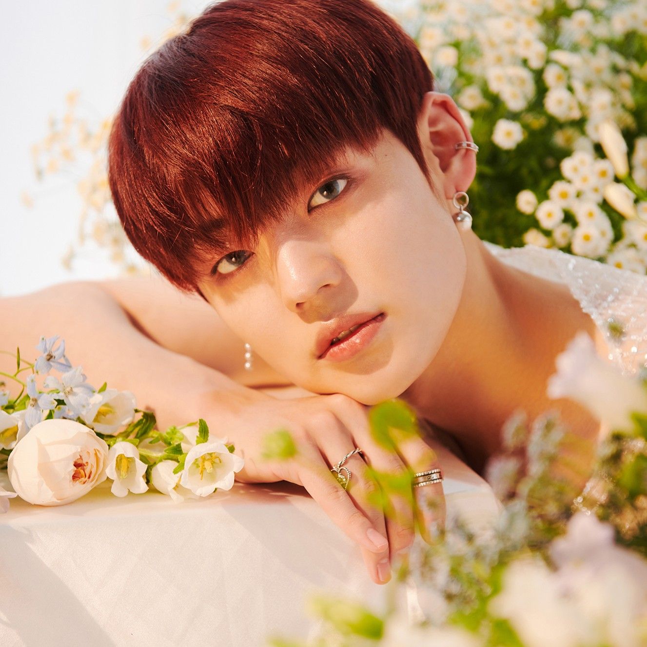 Latest photo of Chan (A.C.E)
