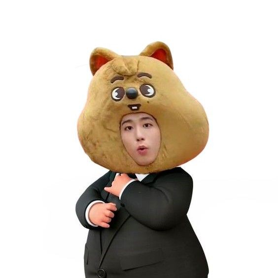 Latest photo of HAN (Stray Kids)