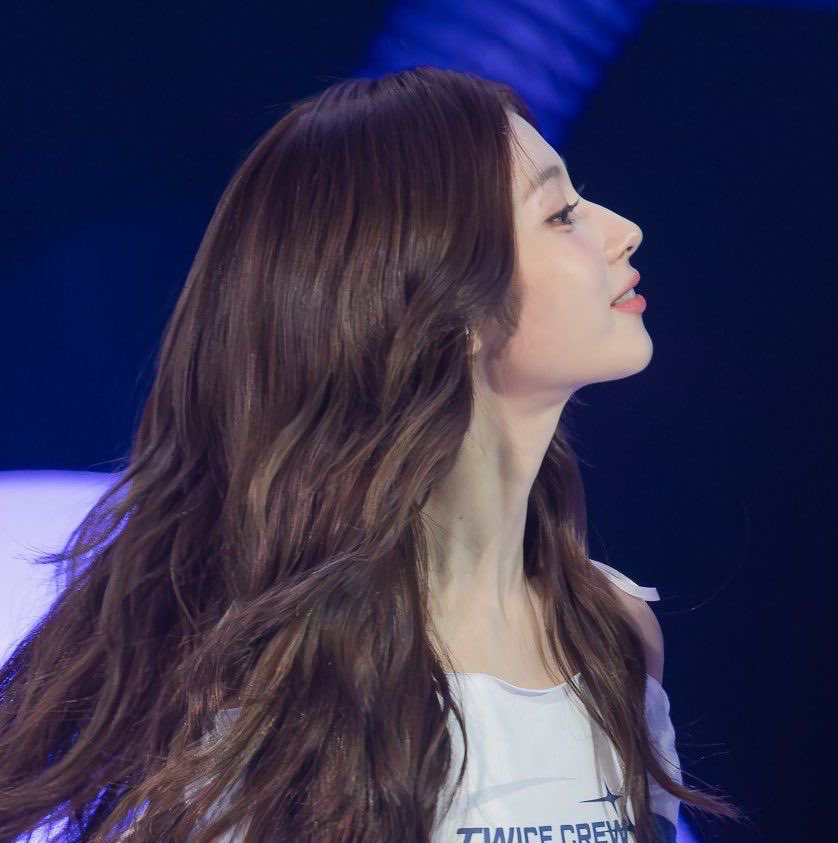 サナ (TWICE)ファンが撮った瞬間