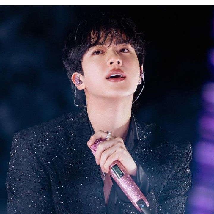 진 (방탄소년단) 팬이 찍은 순간