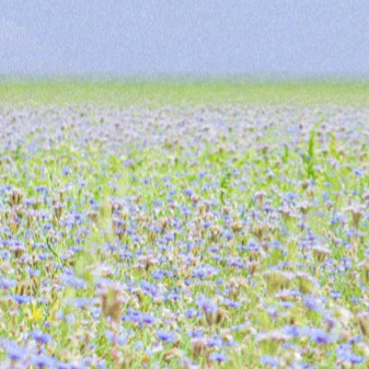 A moment captured by OH MY GIRL's fan