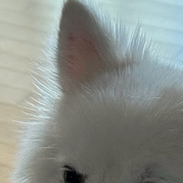 Behind-the-scenes cut of Ravn