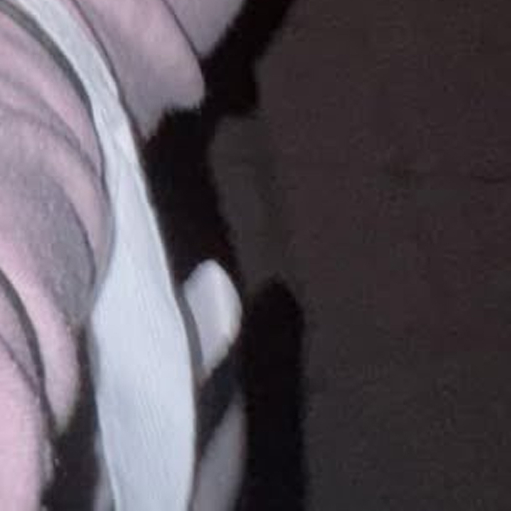 Choerry (ARTMS)粉丝拍下的瞬间