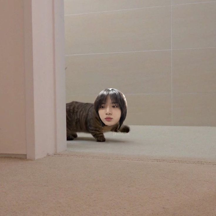 Recent activity shot of Beomgyu (TOMORROW X TOGETHER)