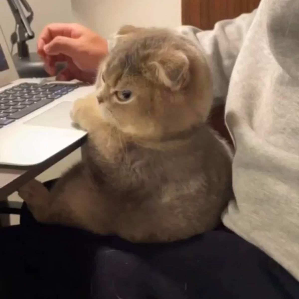 뷔 (방탄소년단)의 비하인드 컷