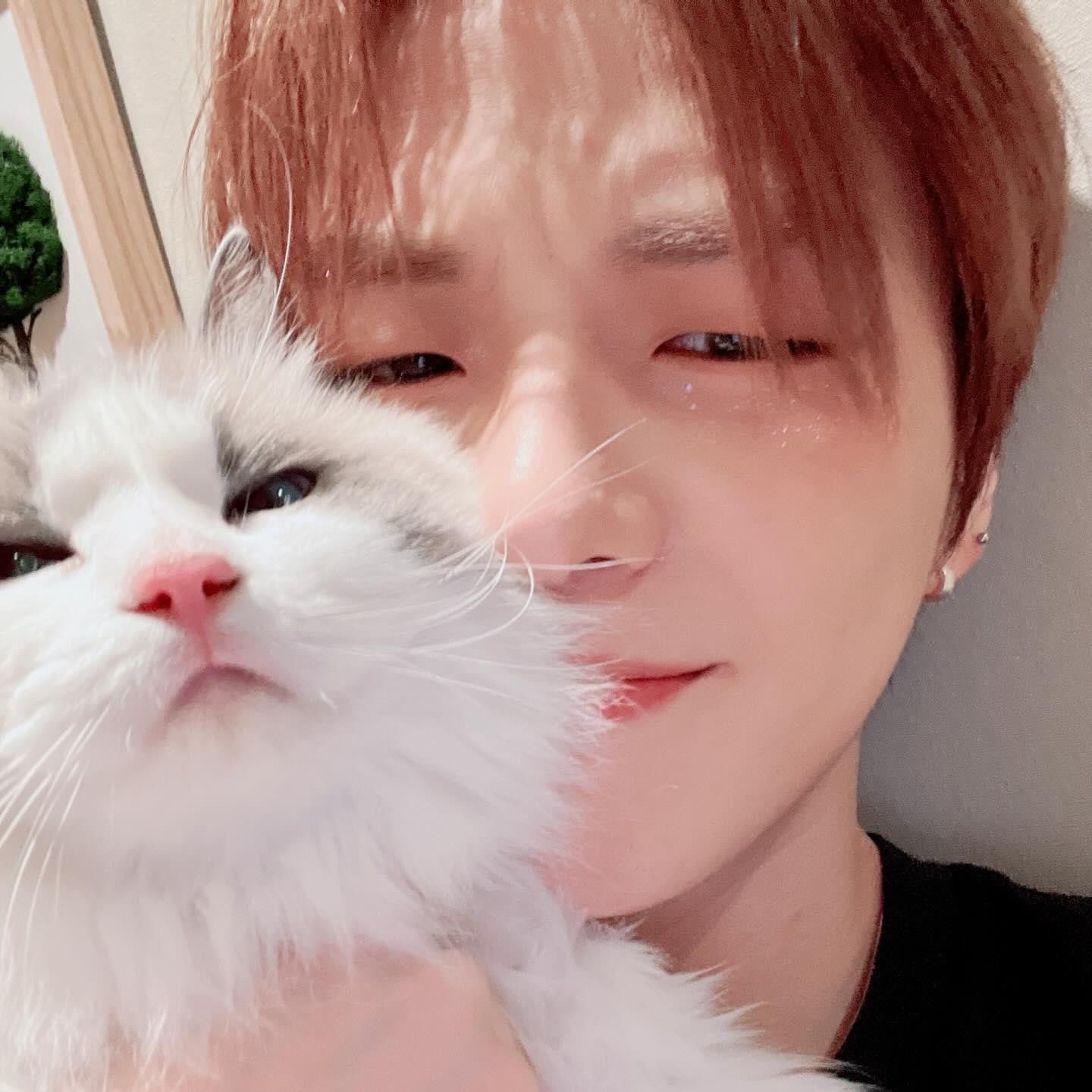 강다니엘 팬이 찍은 순간