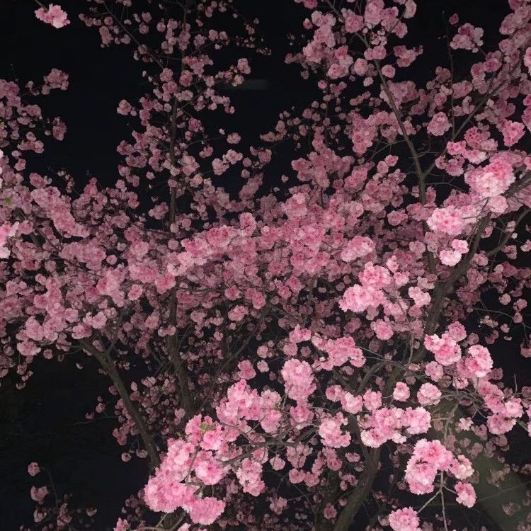 Latest photo of Lay (EXO)