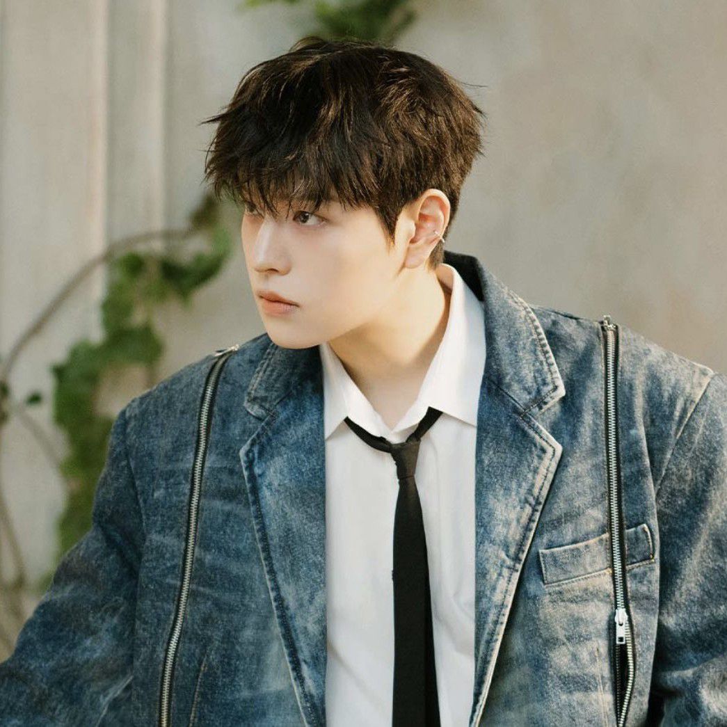 Recent activity shot of Seungmin (Stray Kids)