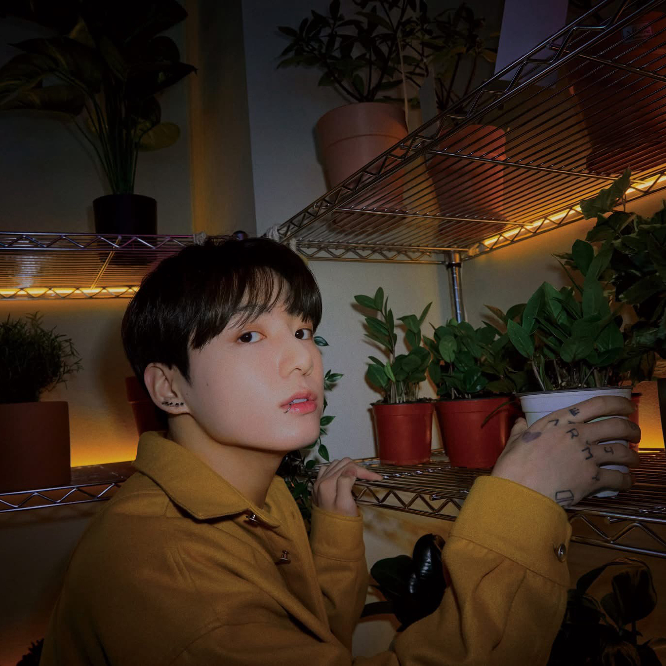 柾国 (防弹少年团)的最新活动照片