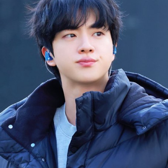 진 (방탄소년단) 팬이 찍은 순간